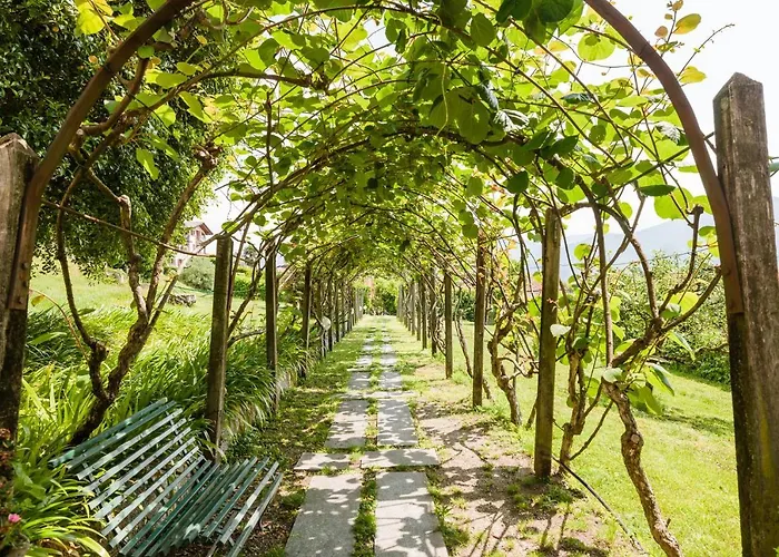 Pergola