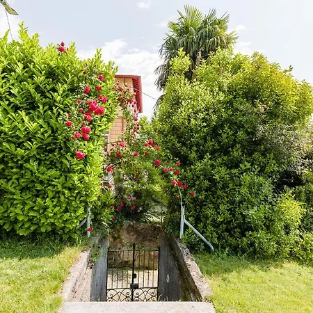 Pergola Vila *