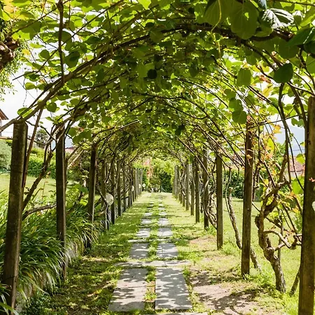 Vila Pergola *