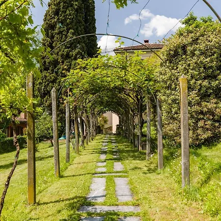 Pergola * ميناجيو