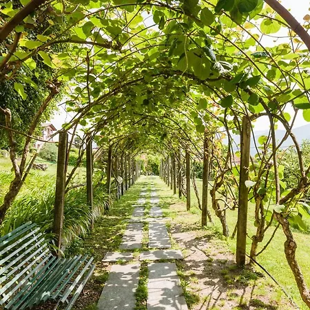 Pergola