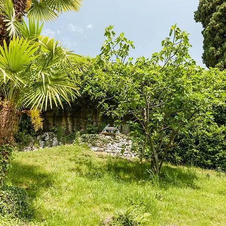 Pergola ميناجيو